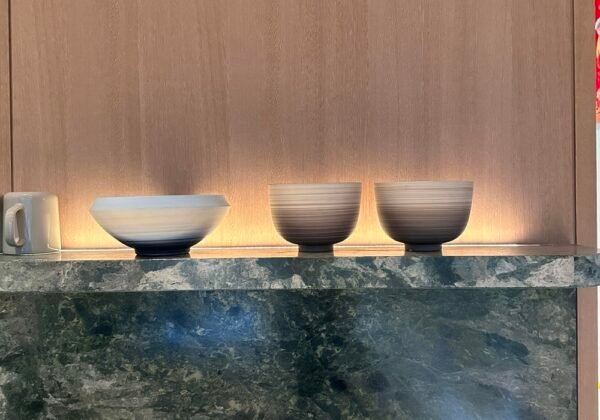 Natural stone stain remover